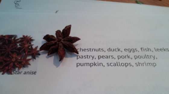 star anise-key ingredient in chinese five spice